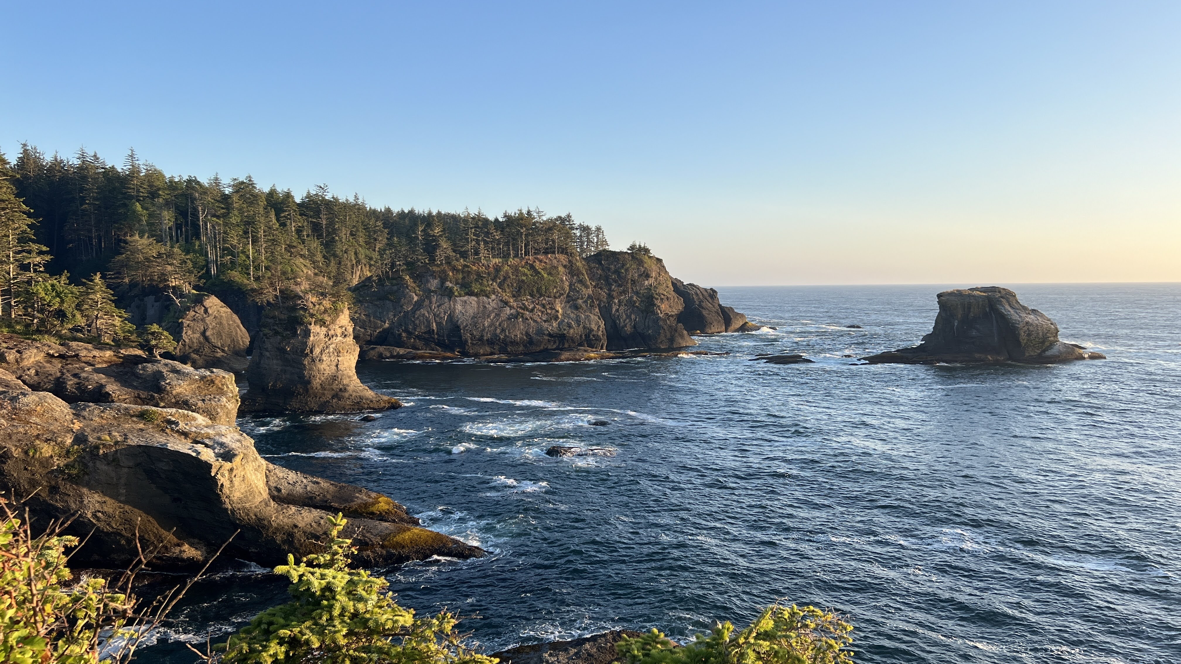 Cape Flattery hike